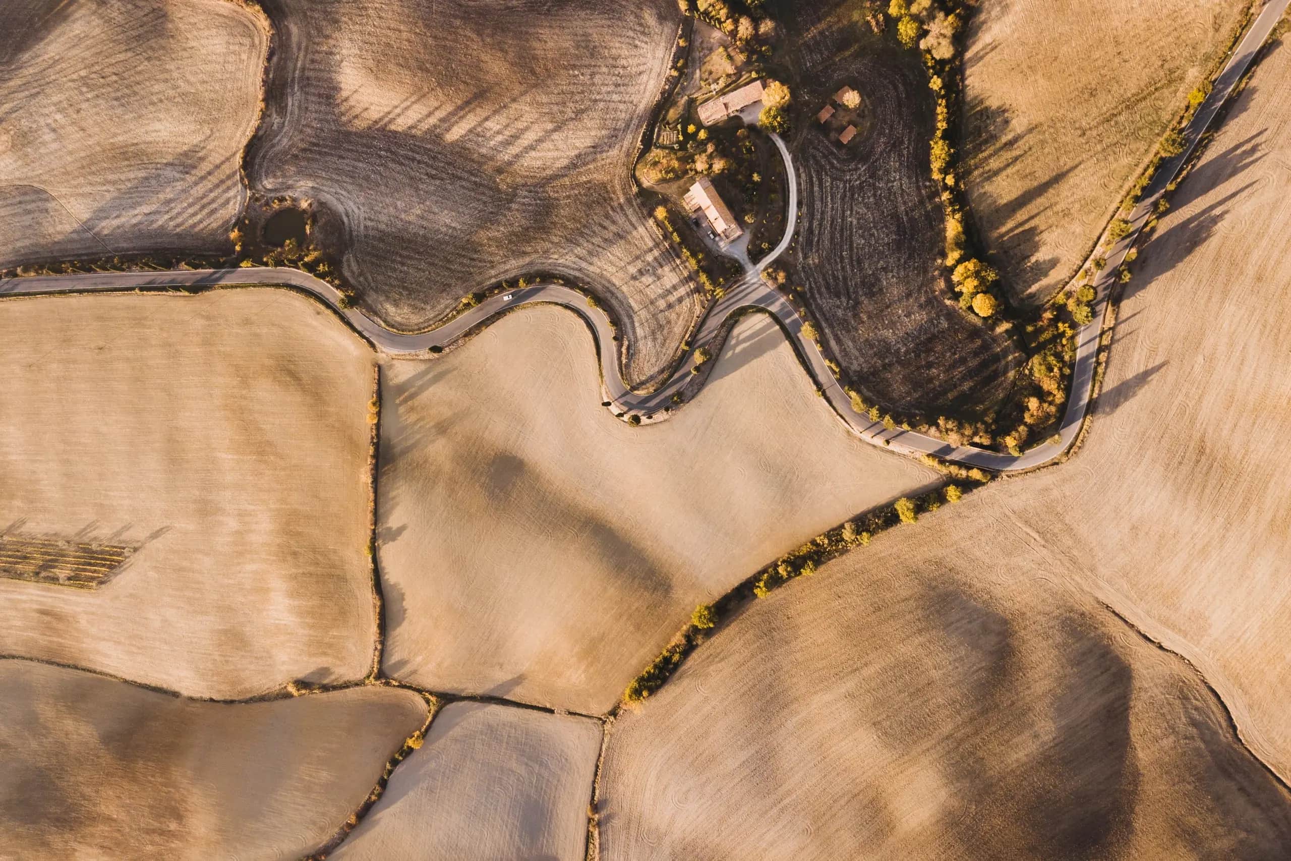 Vista aèria de camps agrícoles daurats